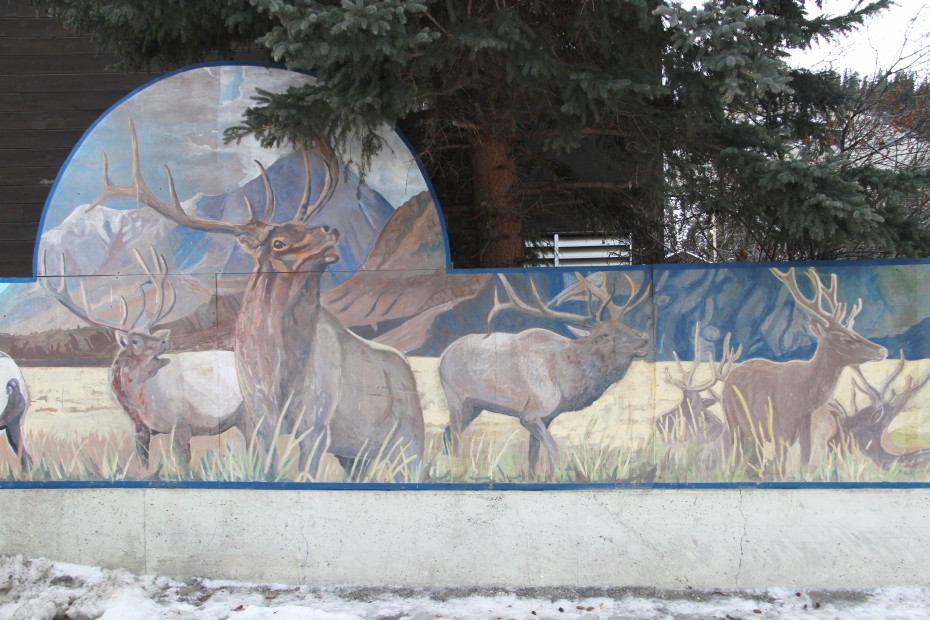 Mural showing a large herd of elk, in Whitehorse, Yukon